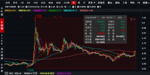 一共16万我出了四万八我的股份是多少