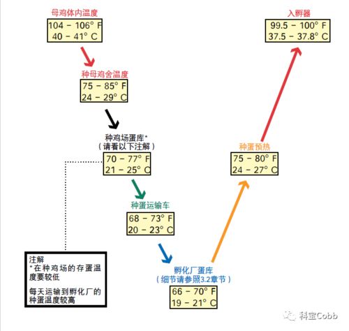 种蛋存放 正确的温度来提高孵化率