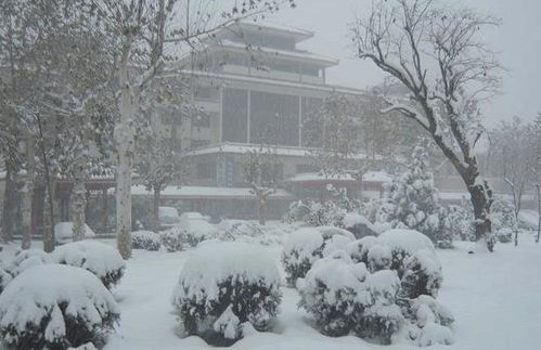 农村俗语 冬雪一层面, 春雨满囤粮 , 农民朋友认为靠谱吗