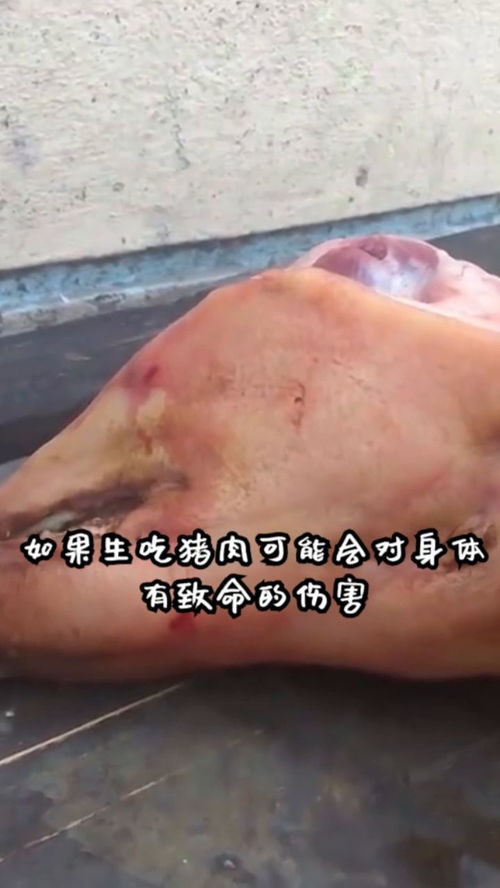 为什么牛肉可以生吃,猪肉却不可以,只因为这个简单原因 