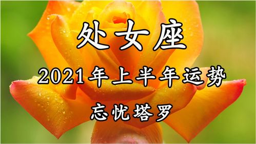 忘忧塔罗 处女座2021年上半年运势,混乱和纠结,没有明确的答案 