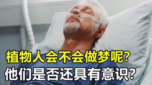 大脑损伤的植物人会做梦吗 他们还有 自我 意识吗 