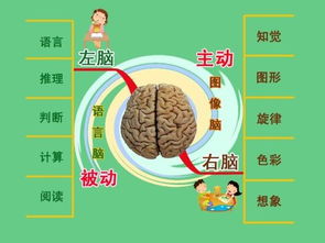 用这5种方法学习语文,成绩想不好都难 真的很实用