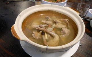 鸽子汤的做法大全 儿童鸽子汤的做法大全