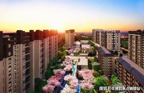 平湖名悦华庭市区难得城芯住宅,坐拥城市繁华