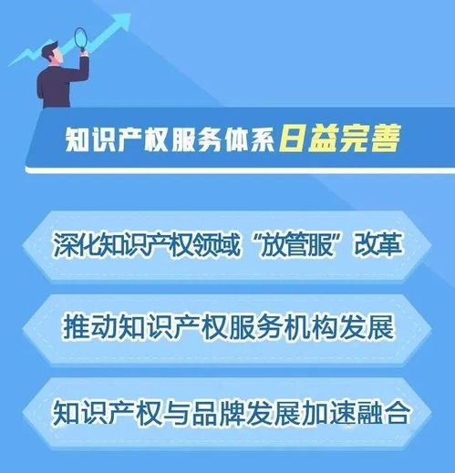 打造亚太地区知识产权中心城市 上海6大举措全速推进