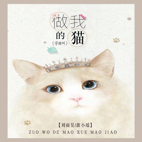 做我的猫学猫叫 伴奏 刘雨昊 歆小瑶 高音质在线试听 做我的猫学猫叫 伴奏 歌词 歌曲下载 酷狗音乐 