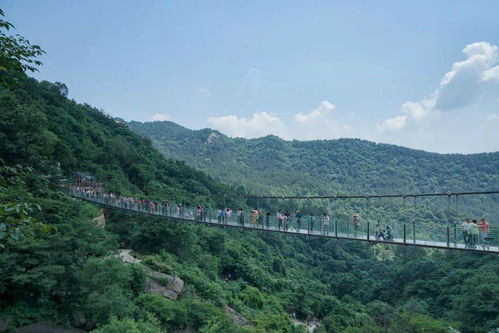 春节最新通知 全国多个景区暂停开放,钟南山这样说...