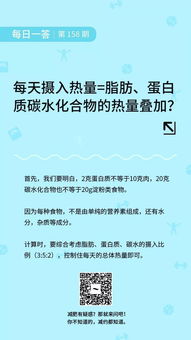 每天摄入热量 脂肪 蛋白质 碳水化合物的热量叠加 