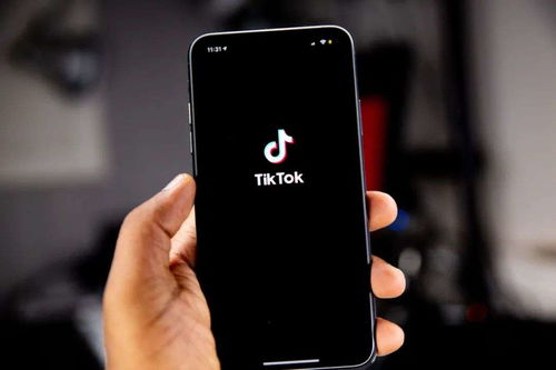 「TikTok」是如何制造爆款短视频的_tiktok刷赞平台