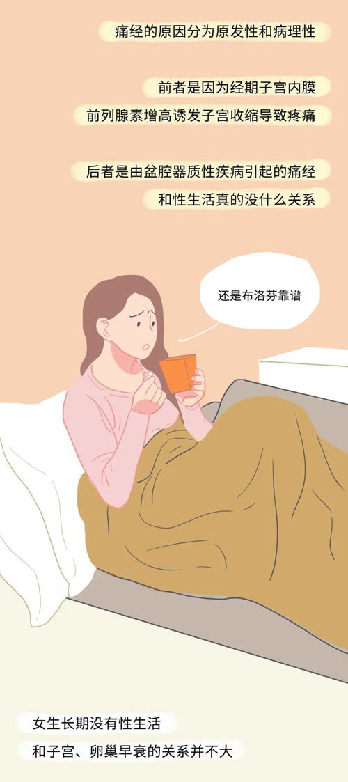 夫妻的含义是什么意思