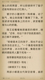 这是慕容湮儿写的小说 替身皇妃 不过这应该不是最后结局吧,谁有之后的情节 