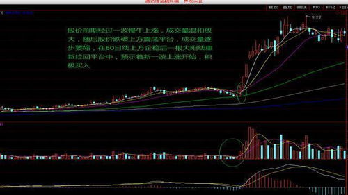 涨停版敢死队内参怎么下载了安装不到？