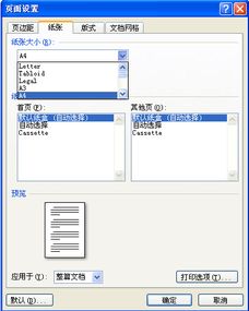 word文档页面变的非常大怎么回事