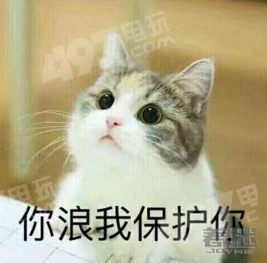 王者荣耀梦见猫技能介绍 梦见猫技能属性一览