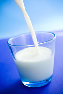 喝什么牛奶最容易减肥,喝什么牛奶可以减肥？