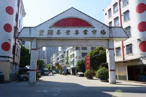 德州中山灯具批发市场地址,全国各地茶叶批发市场地址