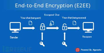 端到端加密是什么意思(微信端对端加密方式怎么设置)