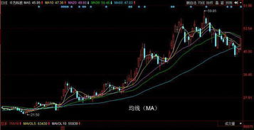 股市入面有5条线白色黄色紫色绿色白色分别叫什么线啊?