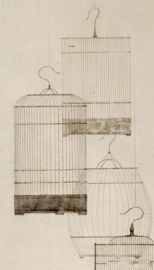 这位画家喜欢画鸟笼子,啥意思