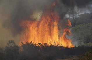 加州山火摧毁了多少栋房屋
