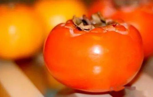 柿子的常见品种分类,小柿子多少个品种？
