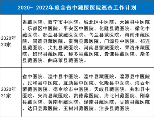 公司采购专项整治报告范文-医疗购销领域专项整治方案？