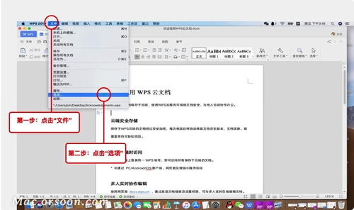 wps excel怎么打开pdf，wps怎么用excel打开文件