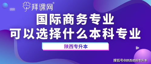 陕西专升本国际商务专业可以报考什么本科专业