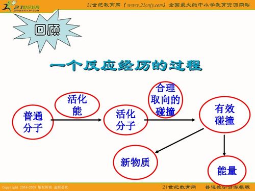 化学精品课件 影响化学反应速率的因素 2