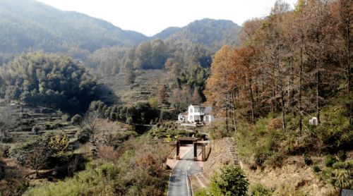 全域旅游创建 旅游名镇风采展播 九华山风景区九华乡