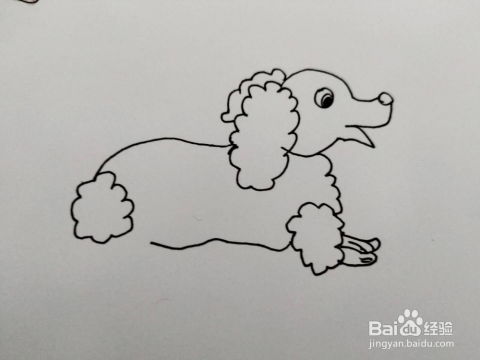 小花狗简笔画怎么画,怎么画彩色的小花狗