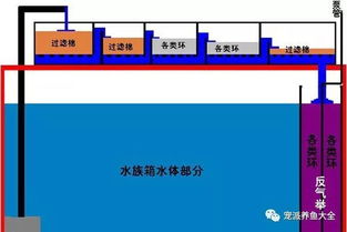 实用 鱼缸滤材摆放和使用指南,收藏啦