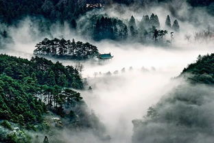 在庐山,让你呼吸一 夏 沁人心脾的好空气