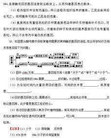 三年连考生物知识点 基因工程的原理及技术 12 