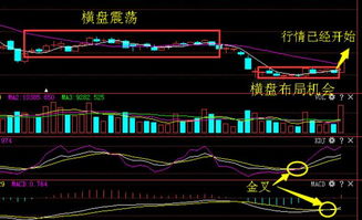 为什么买了热门龙头股票，不仅不涨，反而被套？