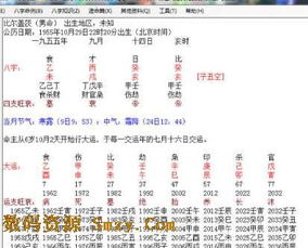 诸葛铁嘴八字批命苹果版下载 诸葛铁嘴八字批命五行查询软件下载 