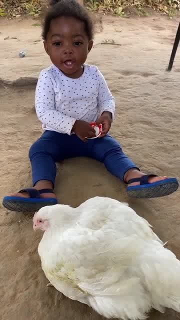 这就是非洲孩子的玩具,摸摸鸡的脑袋,她的反应好好玩 