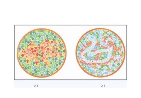 色盲测试图的看图技巧有哪些 