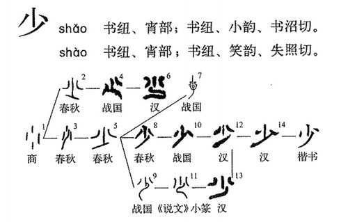 雷同与查重：从误解到理解的旅程