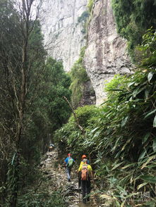 上灵岩.常云峰.小龙湫未命名