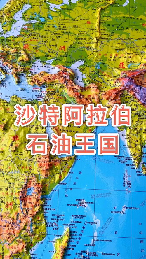 沙特阿拉伯石油王国 沙特阿拉伯 地图 地理 