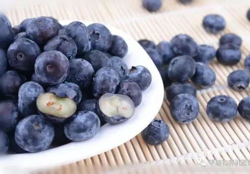 蓝莓 枸杞 西瓜 杨梅 这份当季水果采摘地图出炉