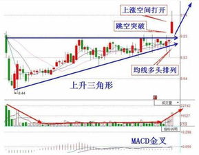 600133后市走势如何？业绩不是涨了50%吗？会不会有分红的机会？