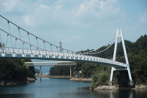 带着柴犬去旅行之千岛湖自驾游 