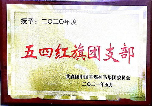 我矿共青团组织荣获2020年度多项集体及个人荣誉表彰