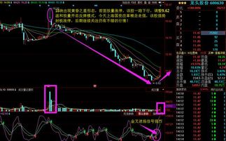 股票600630龙头股份~已经没见到他涨了，大盘涨他跌，大盘跌他还跌