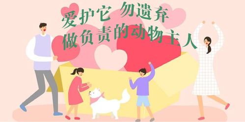 依法养犬第二课 看看 动物防疫法 是如何规范养犬行为的