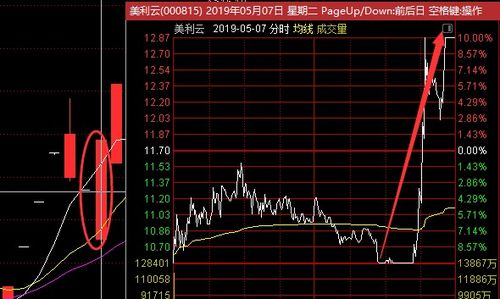 明天要关注哪个版块的股票