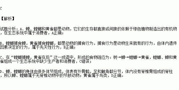 阴风属于什么词语解释—成语“阴风阵阵”是什么意思？